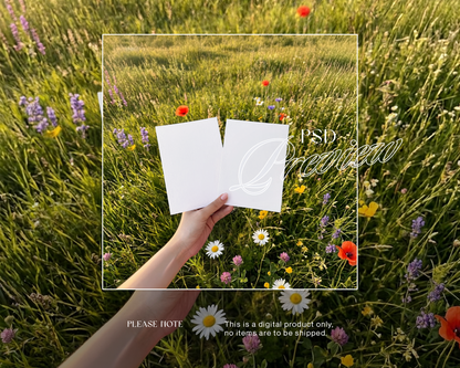Two A5 Posters in Meadow with Wildflowers Mockup