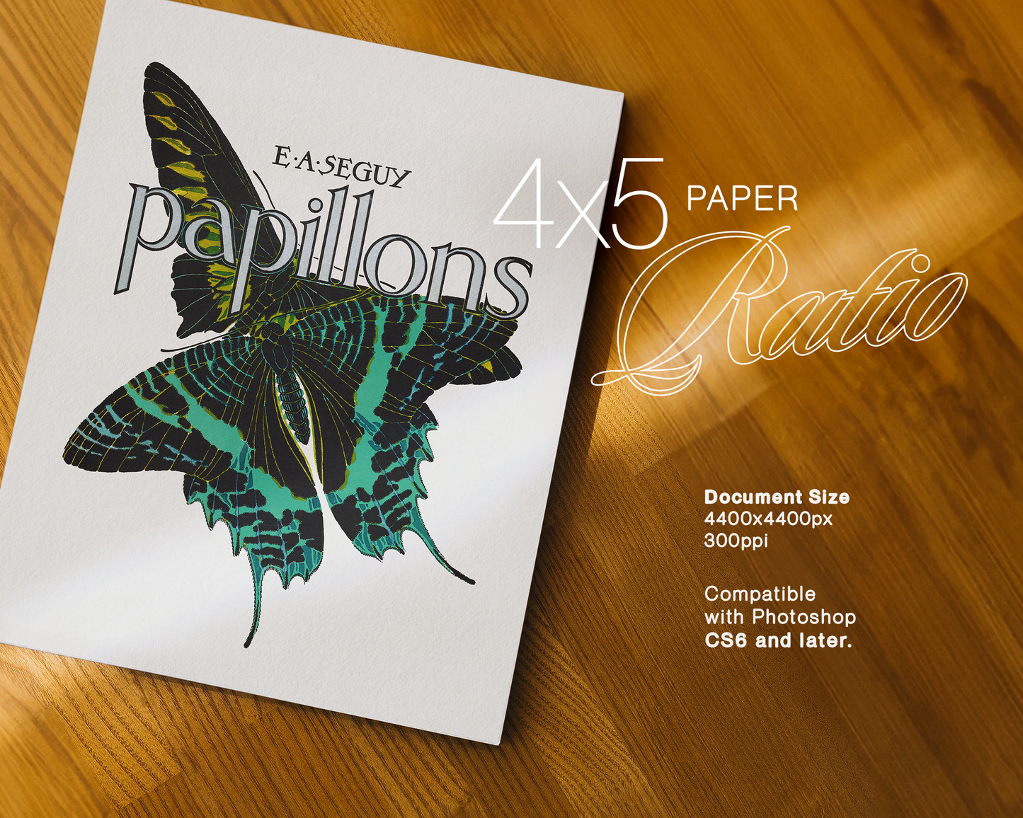 4x5 Ratio Sunlit Paper Mockup